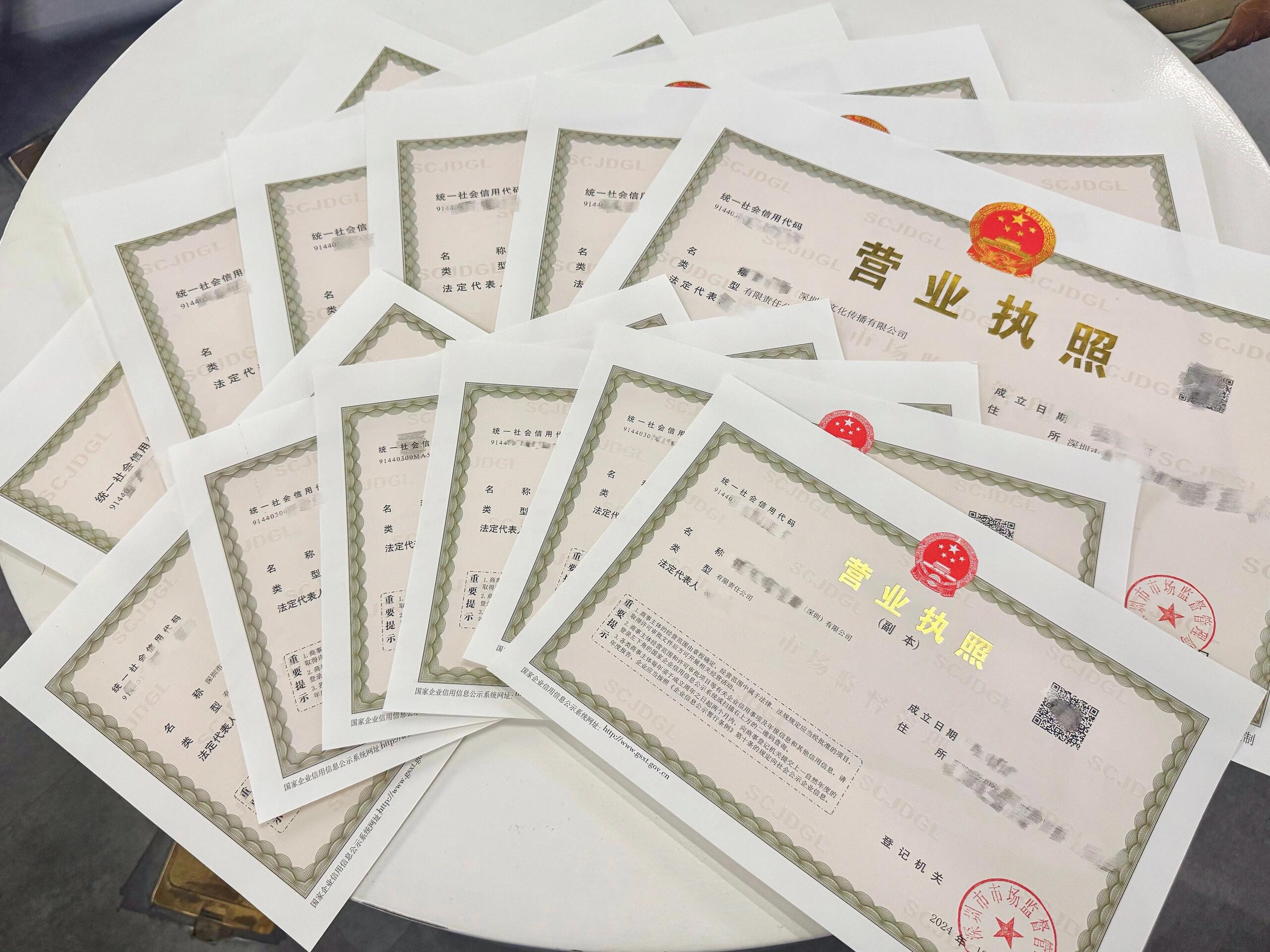 营业执照样张 1